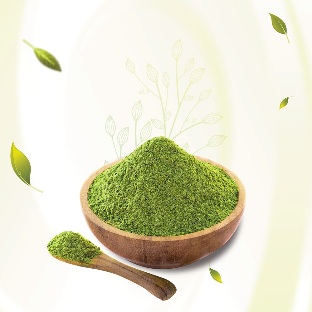 Premium export-grade moringa oleifera leaf powder in wooden bowl