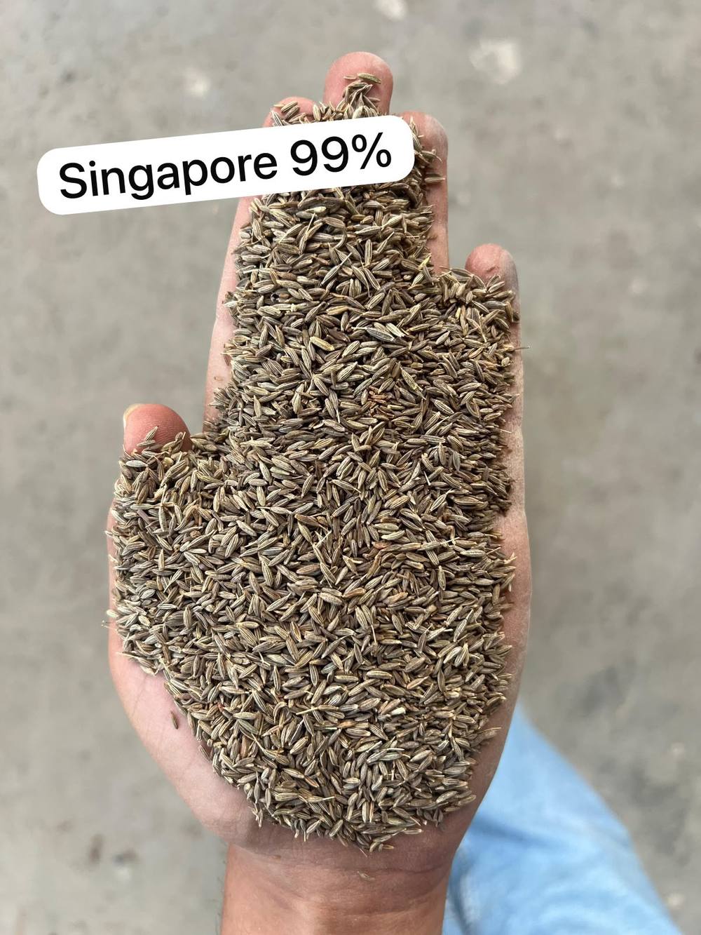 Cumin Seeds Grades India Guide — Singapore vs Europe Quality